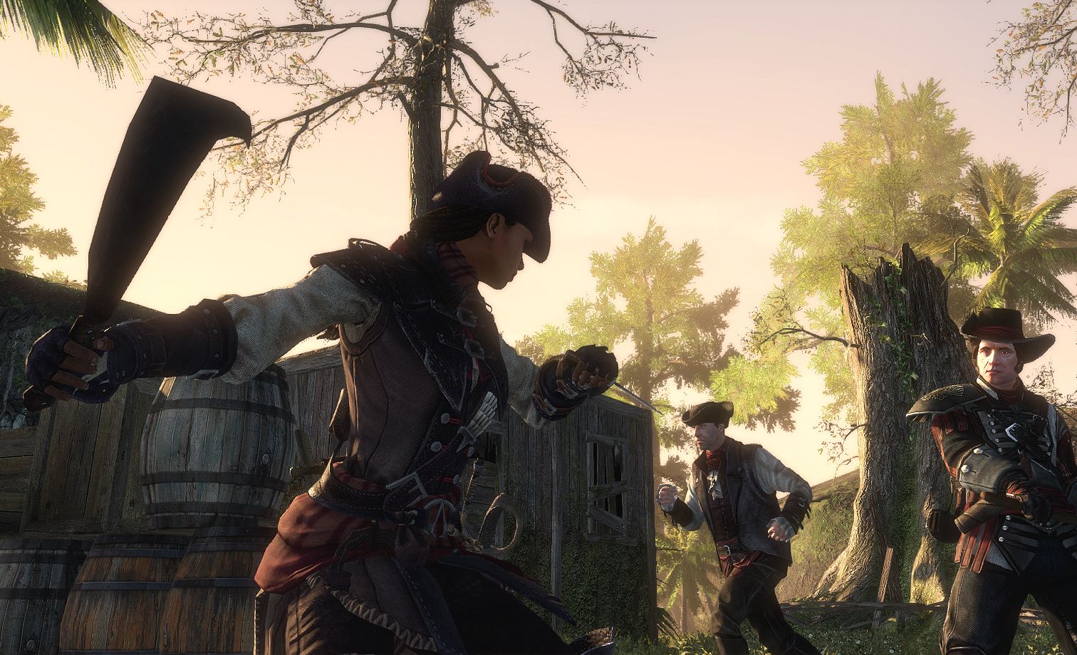 Assassin´s Creed Liberation HD